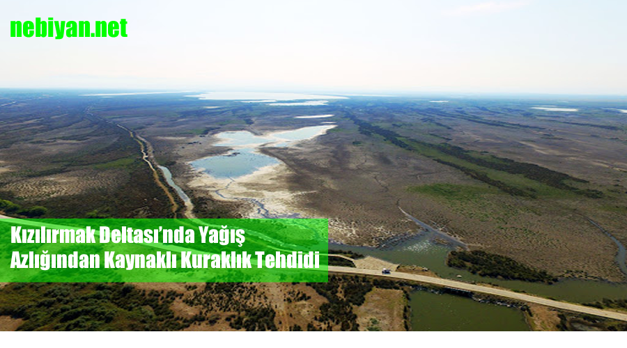 Kızılırmak Deltası’nda Yağış Azlığından Kaynaklı Kuraklık Tehdidi