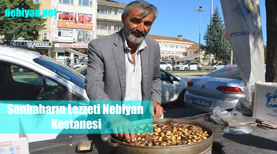 Sonbaharın Lezzeti Nebiyan Kestanesi